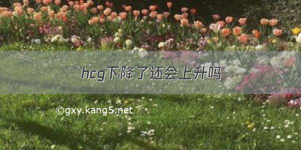 hcg下降了还会上升吗