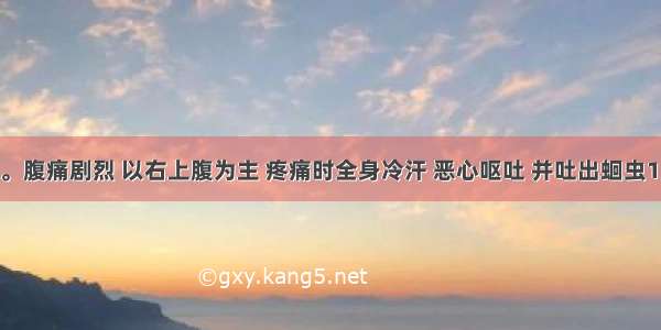 患儿 6岁。腹痛剧烈 以右上腹为主 疼痛时全身冷汗 恶心呕吐 并吐出蛔虫1条。其可