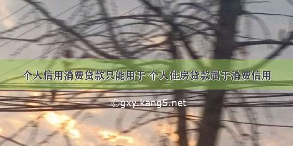 个人信用消费贷款只能用于 个人住房贷款属于消费信用