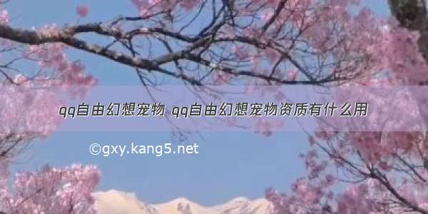 qq自由幻想宠物 qq自由幻想宠物资质有什么用