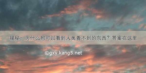 揭秘：为什么狗可以看到人类看不到的东西？答案在这里