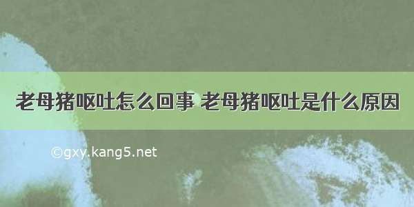 老母猪呕吐怎么回事 老母猪呕吐是什么原因