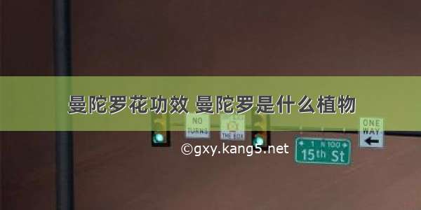 曼陀罗花功效 曼陀罗是什么植物