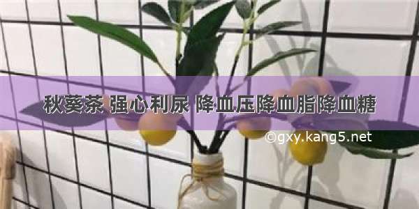 秋葵茶 强心利尿 降血压降血脂降血糖