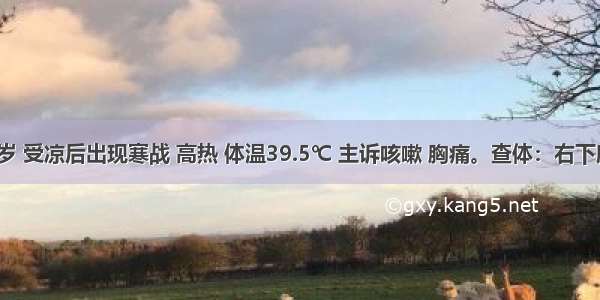 男性 23岁 受凉后出现寒战 高热 体温39.5℃ 主诉咳嗽 胸痛。查体：右下肺叩诊浊