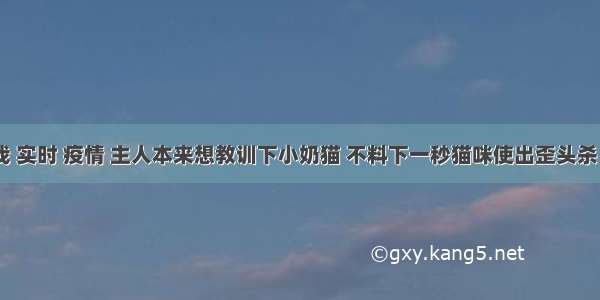 刷新 翻看 我 实时 疫情 主人本来想教训下小奶猫 不料下一秒猫咪使出歪头杀 心都暖化了