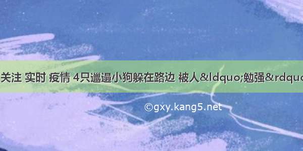 刷新 翻看 我 关注 实时 疫情 4只邋遢小狗躲在路边 被人“勉强”收养 长大后