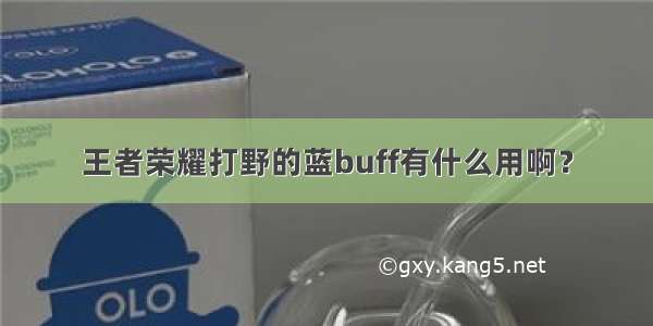 王者荣耀打野的蓝buff有什么用啊？