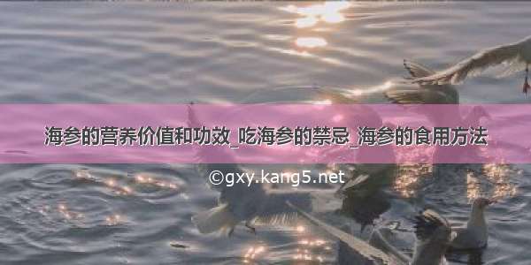 海参的营养价值和功效_吃海参的禁忌_海参的食用方法