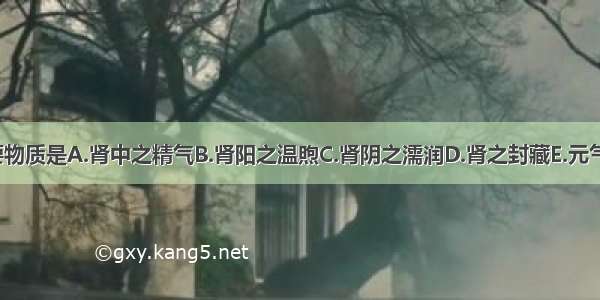 产生天癸的主要物质是A.肾中之精气B.肾阳之温煦C.肾阴之濡润D.肾之封藏E.元气之充足ABCDE