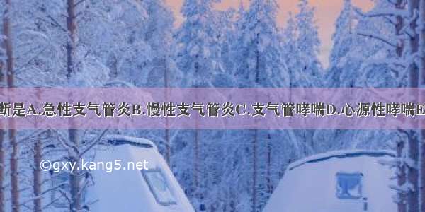 最可能的诊断是A.急性支气管炎B.慢性支气管炎C.支气管哮喘D.心源性哮喘E.神经官能症