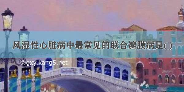 风湿性心脏病中最常见的联合瓣膜病是()