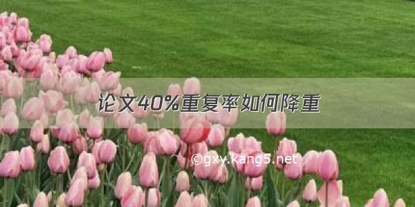 论文40%重复率如何降重