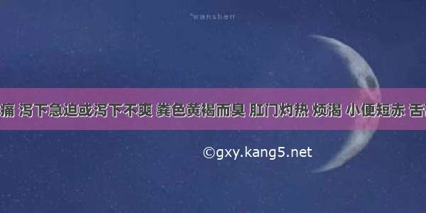 泄泻腹痛 泻下急迫或泻下不爽 粪色黄褐而臭 肛门灼热 烦渴 小便短赤 舌苔黄腻 