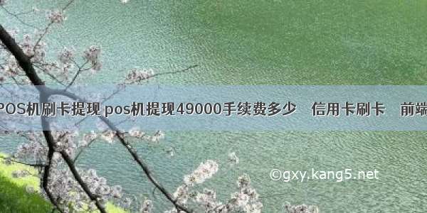 POS机刷卡提现 pos机提现49000手续费多少 – 信用卡刷卡 – 前端