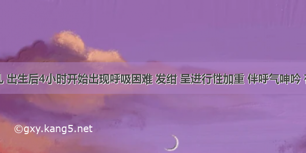 一早产儿 出生后4小时开始出现呼吸困难 发绀 呈进行性加重 伴呼气呻吟 有鼻翼扇