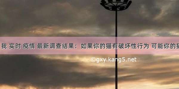 刷新 翻看 我 实时 疫情 最新调查结果：如果你的猫有破坏性行为 可能你的猫咪想你了