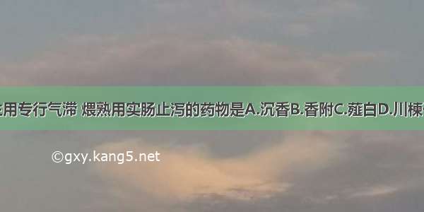 善行肠胃气滞 生用专行气滞 煨熟用实肠止泻的药物是A.沉香B.香附C.薤白D.川楝子E.木香ABCDE