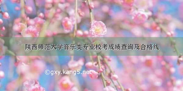 陕西师范大学音乐类专业校考成绩查询及合格线