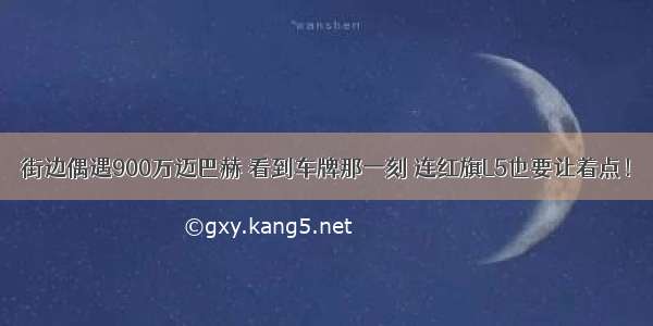 街边偶遇900万迈巴赫 看到车牌那一刻 连红旗L5也要让着点！