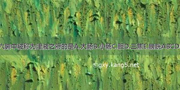 六腑中被称为津液之府的是A.大肠B.小肠C.胆D.三焦E.膀胱ABCDE