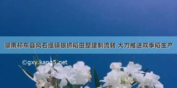 湖南祁东县风石堰镇狠抓稻田整建制流转 大力推进双季稻生产